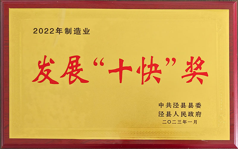 2022年制造業發展十快獎