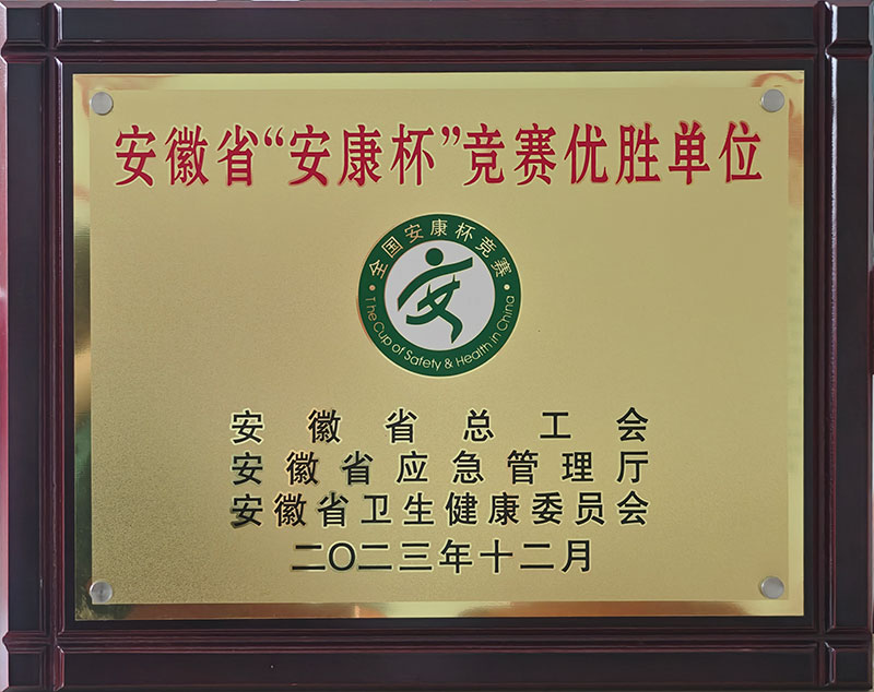 安徽省安康杯競賽優勝單位2023