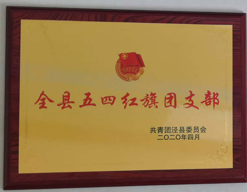 全縣五四紅旗團支部2020年4月